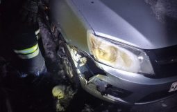В Курской области ночью загорелись два автомобиля