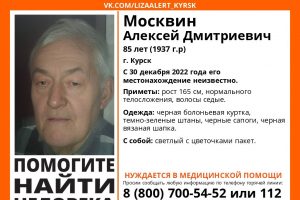 В Курске идут поиски пропавшего 85-летнего мужчину