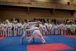 В Курске проходят Всероссийские соревнования по всестилевому карате