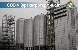 Роман Старовойт рассказал об основных инвестпроектах Курской области