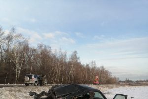 В Курской области в ДТП пострадали два человека