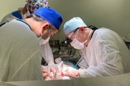 Курские хирурги-онкологи провели операцию пациенту с опухолью Клацкина