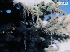 В Курской области 1 марта прогнозируют небольшой снег и до 2 градусов тепла