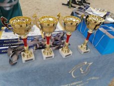 В Курске определили победителей соревнований по конкуру