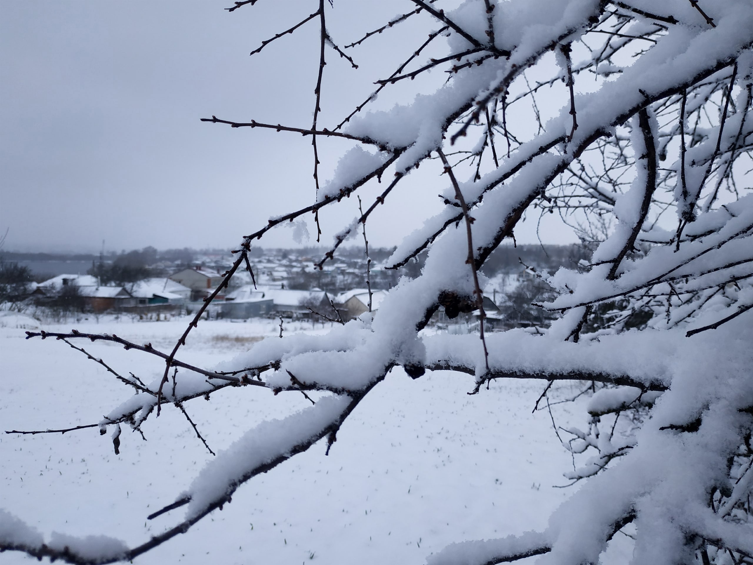 Снежный циклон. Легкий снег в сугробах. Снегопад в Курске. Ночью выпал снег подчеркнуть