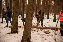 В Курске 18 марта состоится акция по заготовке дров для участников СВО