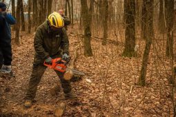 В Курске вновь заготавливали дрова для нужд СВО