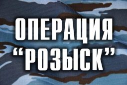 В Курской области задержали 27 человек, находившихся в федеральном розыске