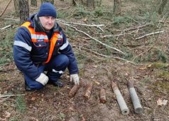 В Курской области обнаружили 6 снарядов времен ВОВ