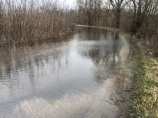 В Рыльском районе Курской области подтопило низководный мост