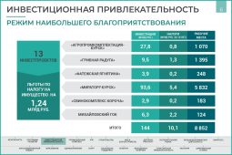 В Курской области в 2022 году реализовали 13 инвестиционных проектов