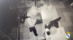 В Курской области на ночного вора в кафе обрушился потолок