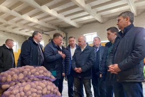 Белорусские овощи появятся в Курске