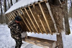 В Курской области продолжают подкармливать диких животных