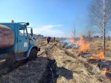 В Курской области за сутки 12 раз горела сухая трава
