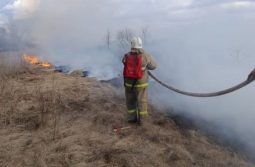 В Курской области более 20 раз горела сухая трава