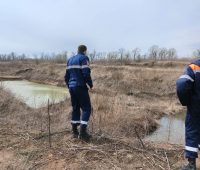 В Курском районе в пруду СНТ «Резинщик» обнаружили тело мужчины