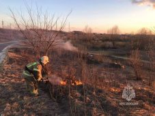 В Курской области установился высокий класс пожарной опасности