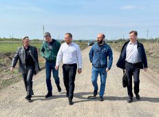 В Курской области планируют построить завод по производству БАДов и витаминов