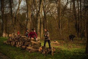  Куряне могут поучаствовать в акции по заготовке дров для участников СВО