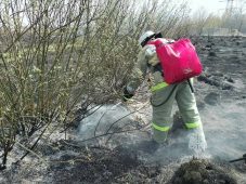 Курские спасатели 23 раза за сутки тушили горящую траву