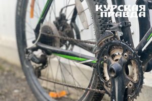 Жительнице Курска дали пять месяцев колонии за кражу велосипеда у курьера