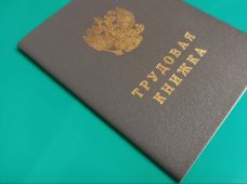 В Курской области зарплата на новых рабочих местах превысила 90 тысяч рублей