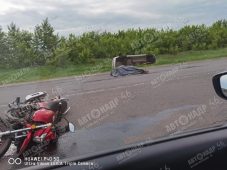 В Курском районе в ДТП погиб 42-летний водитель мотоцикла Regulmoto