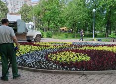 В Курске в парке Железнодорожников высадят более 1100 саженцев цветов