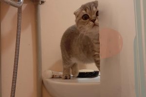 Горячая вода задерживается: в Курской области устраняют более тысячи аварий на сетях