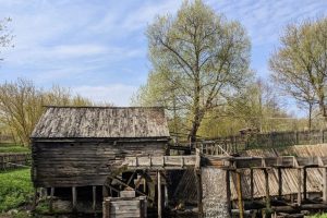 В Курском «Парке мельниц» появятся 25 глэмпингов в этом году