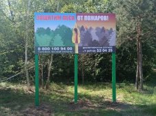 В лесах Курской области прогнозируют II-III классы пожарной опасности