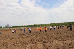 В Фатежском районе Курской области состоится акция «Сад памяти»
