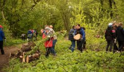 В Курске 13 мая пройдет акция по заготовке дров для участников СВО