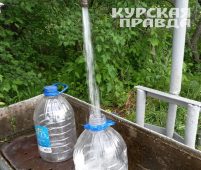 Жителей Курска призвали не поливать питьевой водой огороды