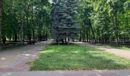 В курском парке Героев Гражданской войны появятся кафе и фонтан