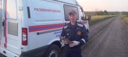 В Курском районе обезвредили 75-миллиметровый снаряд