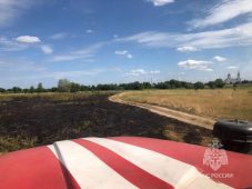 Возле деревни Липина Курской области горела сухая трава