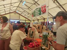 На Курской Коренской ярмарке приобретено сельхозтехники на 140 млн рублей