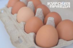 В Курской области подешевели яйца, мясо кур и молоко