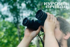 В небе над Курской областью сбили украинский беспилотник