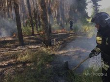 За прошедшие сутки в Курской области зафиксировано 4 пожара