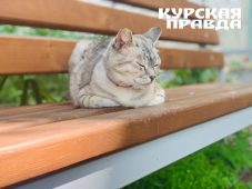 В Курской области 23 сентября ожидается до 27 градусов тепла