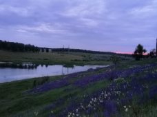 В Курске оценят возможность восстановить реку Кур