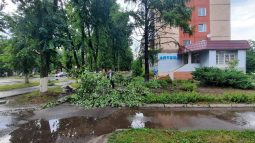 В Железногорске Курской области прошел ураган