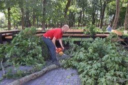 В Курской области от удара стихии пострадали 27 районов