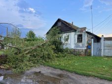 В Курской после урагана без света остаются 17 населённых пунктов