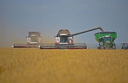 В Курской области продолжается трудовое соревнование на уборке урожая
