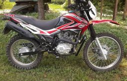 В Курске школьникам рассказали об опасностях езды без прав