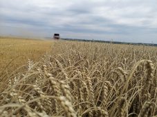 Курский АПК держит курс на урожайные рекорды